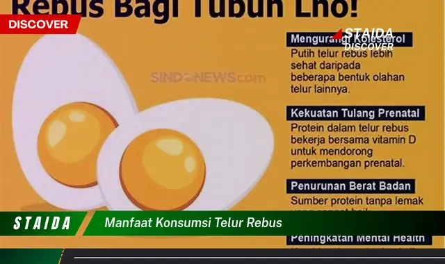 Temukan Manfaat Konsumsi Telur Rebus yang Menakjubkan, Jarang Diketahui