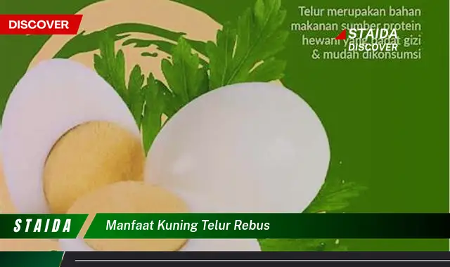 Temukan 7 Manfaat Kuning Telur Rebus yang Jarang Diketahui