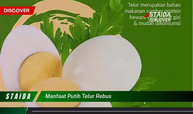 manfaat putih telur rebus