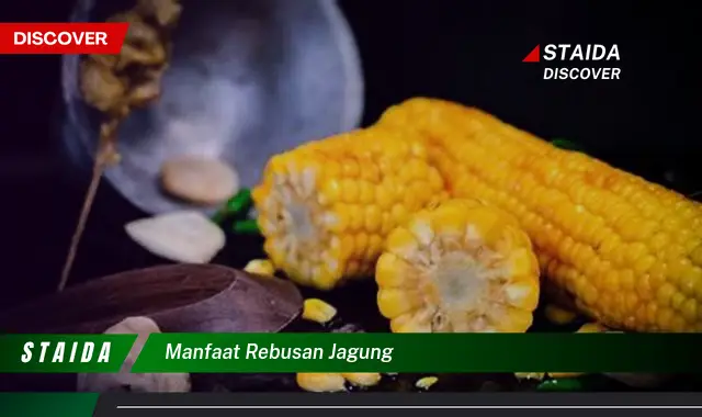 manfaat rebusan jagung