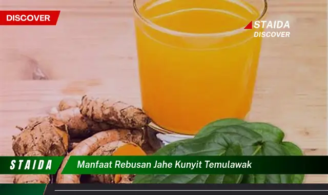 Temukan Manfaat Rebusan Jahe Kunyit Temulawak Jarang Diketahui Anda ...