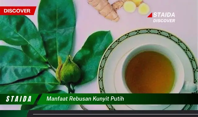 Temukan Manfaat Rebusan Kunyit Putih yang Belum Banyak Diketahui