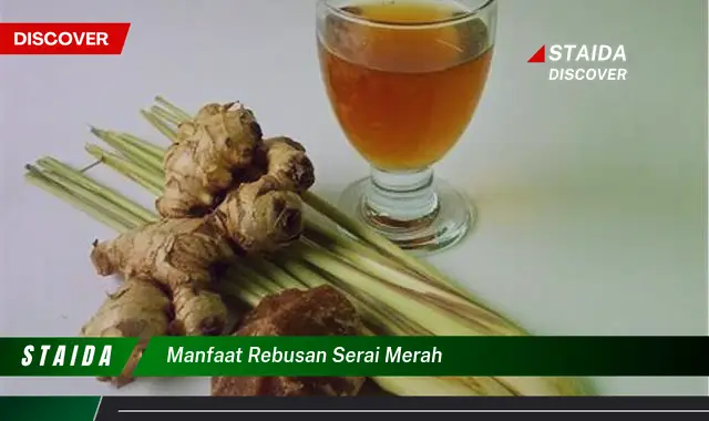 Temukan 7 Manfaat Rebusan Serai Merah yang Jarang Diketahui