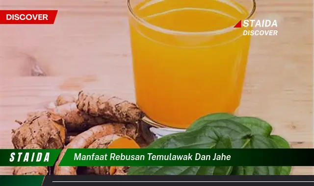 Temukan 7 Manfaat Rebusan Temulawak dan Jahe yang Jarang Diketahui