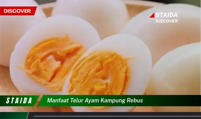 Temukan Manfaat Rebusan Telur Ayam Kampung yang Jarang Diketahui