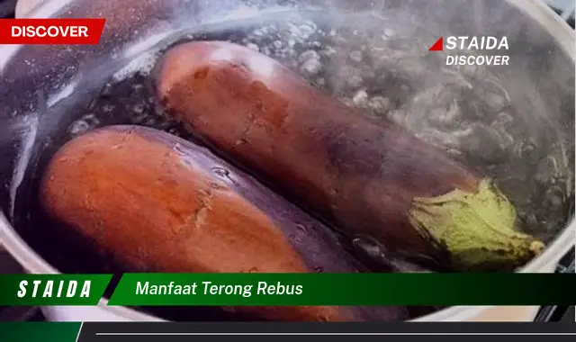 Temukan Manfaat Terong Rebus yang Jarang Diketahui