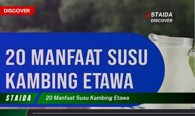 Temukan 20 Manfaat Susu Kambing Etawa yang Jarang Diketahui!