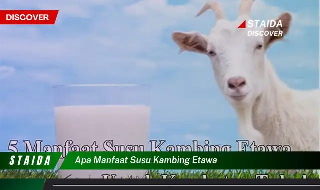 Temukan 7 Manfaat Susu Kambing Etawa yang Jarang Diketahui dan Akan Mengejutkan Anda!