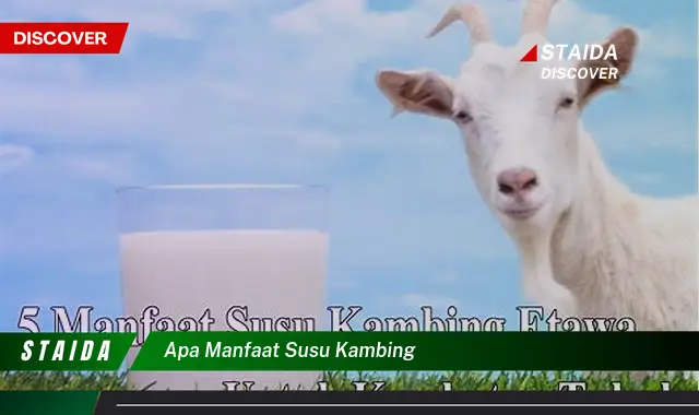 7 Manfaat Susu Kambing yang Jarang Diketahui