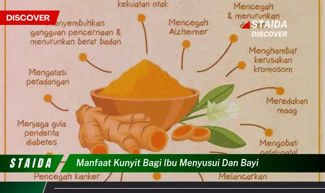 Temukan 7 Manfaat Kunyit untuk Ibu Menyusui dan Bayi yang Jarang Diketahui