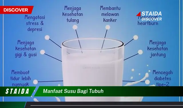 Temukan 7 Manfaat Susu yang Jarang Diketahui untuk Tubuh Anda