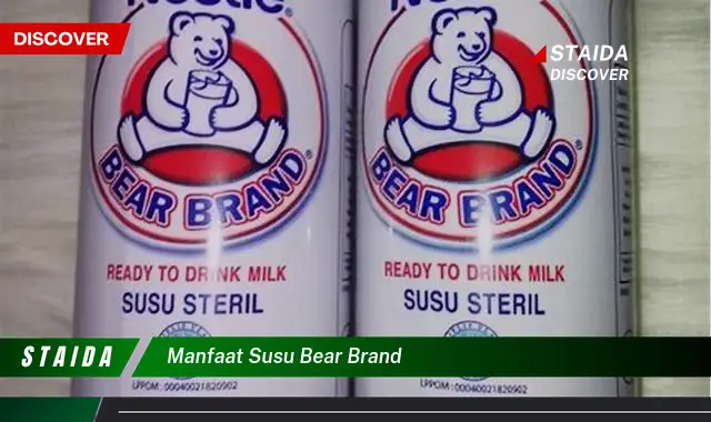 Manfaat Susu Bear Brand yang Jarang Diketahui, Wajib Anda Coba!