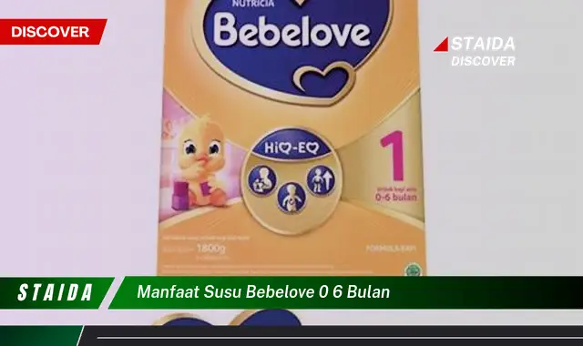 Temukan 7 Manfaat Susu Bebelove 0 6 Bulan yang Jarang Diketahui