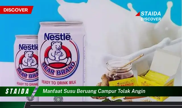 Temukan 7 Manfaat Susu Beruang Campur Tolak Angin yang Jarang Diketahui