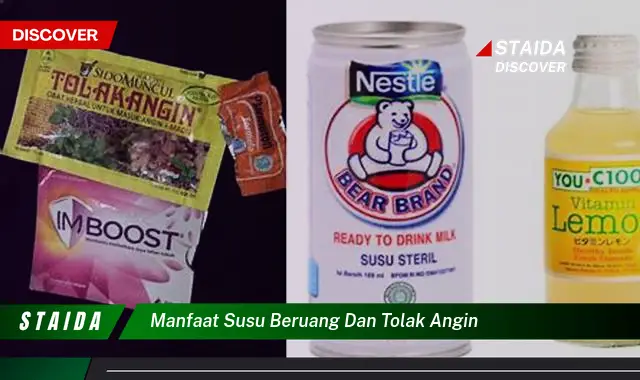 Manfaat Susu Beruang dan Tolak Angin: Wajib Tahu!