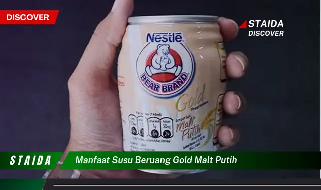 Temukan 7 Manfaat Susu Beruang Gold Malt Putih yang Jarang Diketahui