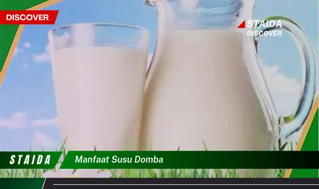 Temukan Manfaat Susu Domba yang Jarang Diketahui untuk Kesehatan Anda