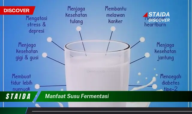 Temukan 7 Manfaat Susu Fermentasi yang Jarang Diketahui!