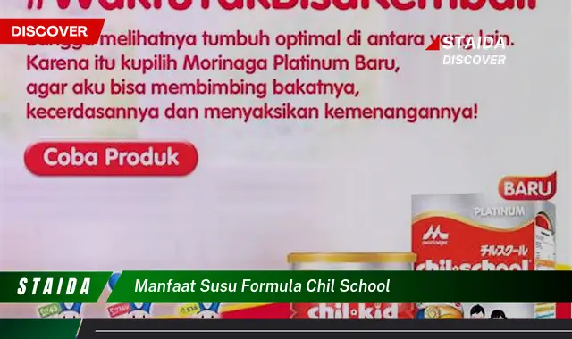 Temukan 7 Manfaat Susu Formula Chil School yang Jarang Diketahui dan Bikin Takjub!