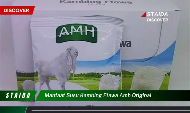 Temukan Manfaat Dahsyat Susu Kambing Etawa AMH Original yang Jarang Diketahui