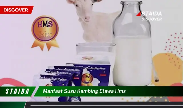 Temukan Manfaat Susu Kambing Etawa HMS yang Jarang Diketahui