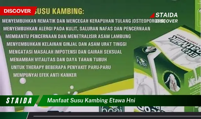 Temukan 7 Manfaat Susu Kambing Etawa HNI yang Jarang Diketahui