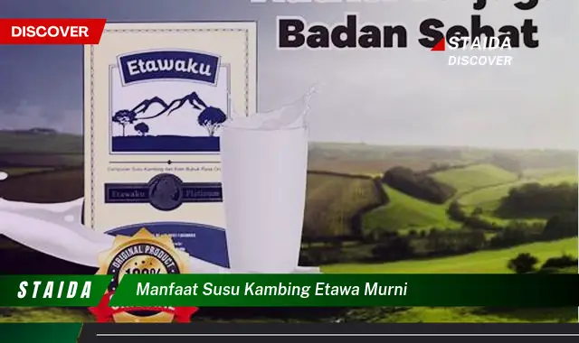 Temukan 7 Manfaat Susu Kambing Etawa Murni yang Jarang Diketahui