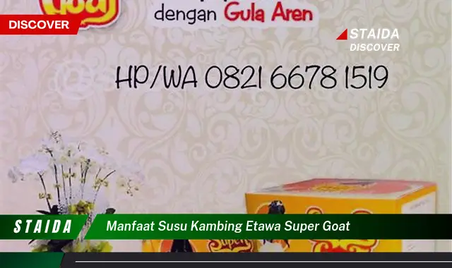 Terungkap Rahasia Manfaat Susu Kambing Etawa Super Goat, Jarang Diketahui!