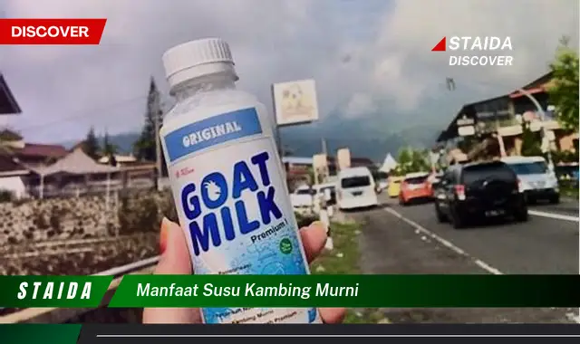 Temukan 7 Manfaat Susu Kambing Murni yang Jarang Diketahui