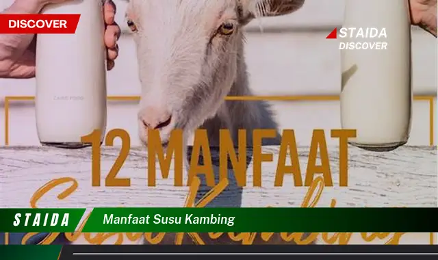 Temukan 7 Manfaat Susu Kambing yang Jarang Diketahui