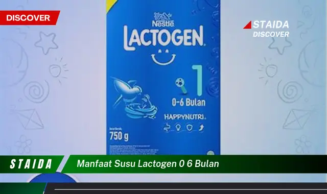 Ungkap Manfaat Susu Lactogen 0 6 Bulan yang Jarang Diketahui