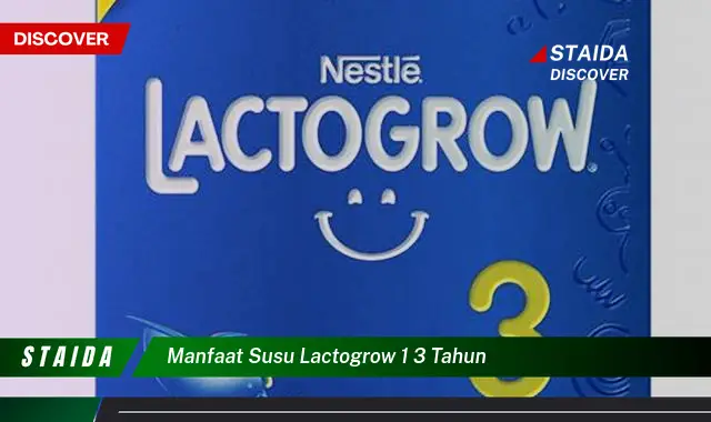 Temukan Manfaat Susu Lactogrow 1 3 Tahun yang Jarang Diketahui