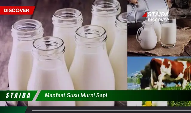 Temukan 7 Manfaat Susu Murni Sapi yang Jarang Diketahui