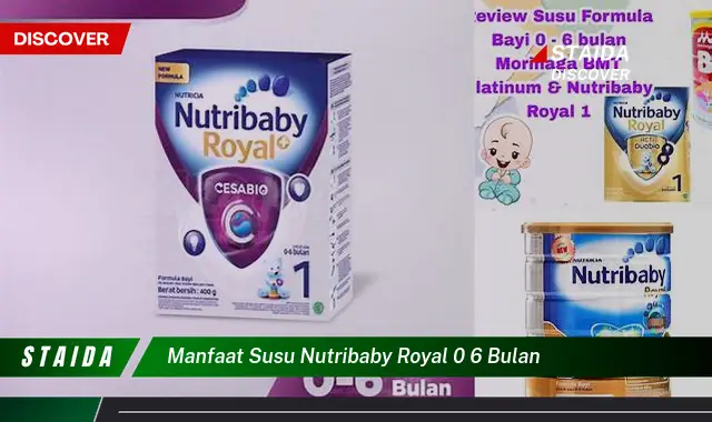 Temukan 7 Manfaat Susu Nutribaby Royal 0-6 Bulan yang Jarang Diketahui