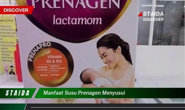 Temukan 7 Manfaat Susu Prenagen untuk Ibu Menyusui yang Jarang Diketahui