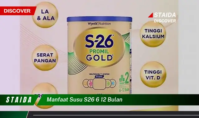 Temukan 7 Manfaat Susu S26 6-12 Bulan yang Jarang Diketahui