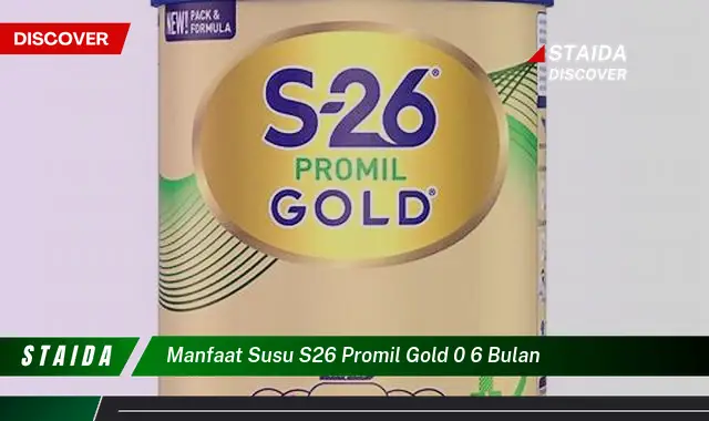 Temukan Rahasia Manfaat Susu S26 Promil Gold 0 6 Bulan yang Jarang Diketahui