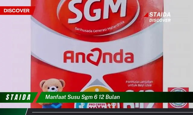 Temukan Manfaat Luar Biasa Susu SGM 6 12 Bulan yang Jarang Diketahui