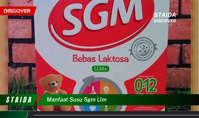 Manfaat Susu SGM LLM yang Jarang Diketahui, Wajib Tahu!