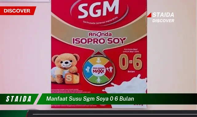 Temukan 7 Manfaat Susu SGM Soya 0 6 Bulan yang Jarang Diketahui