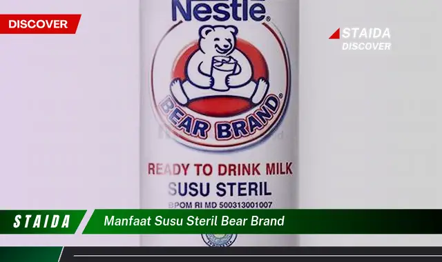 Temukan 7 Manfaat Susu Steril Bear Brand yang Jarang Diketahui