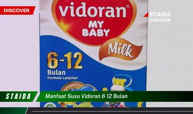 Temukan 7 Manfaat Luar Biasa Susu Vidoran 6 12 Bulan yang Jarang Diketahui