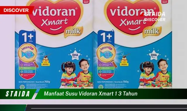 Temukan Manfaat Susu Vidoran Xmart 1-3 Tahun yang Jarang Diketahui