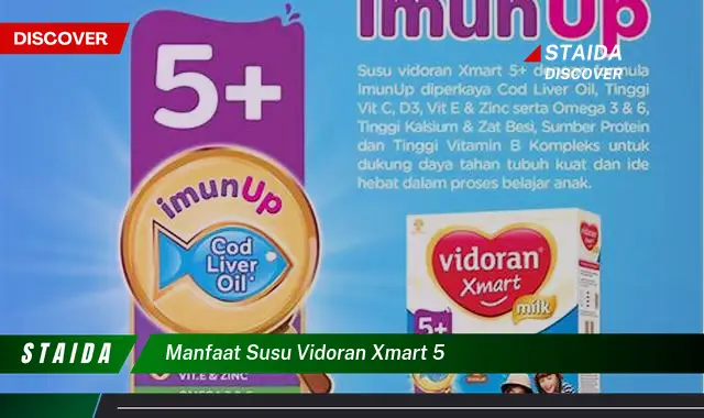 Temukan Manfaat Susu Vidoran Xmart 5 yang Jarang Diketahui!