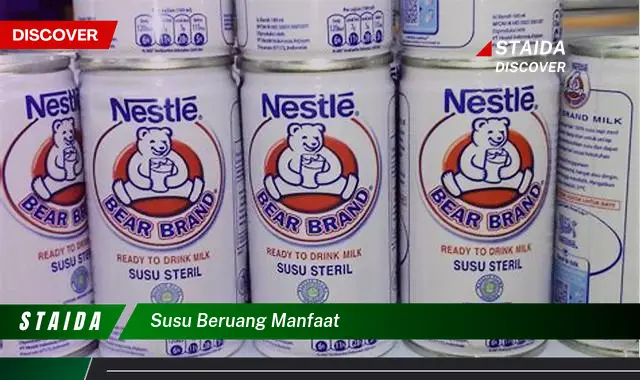 Temukan 7 Manfaat Susu Beruang yang Jarang Diketahui!