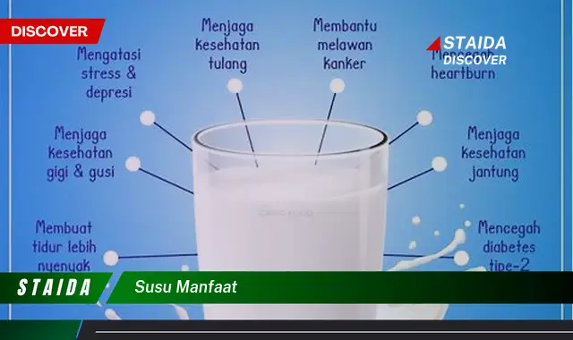 Temukan Manfaat Susu yang Jarang Diketahui, Wajib Tahu!