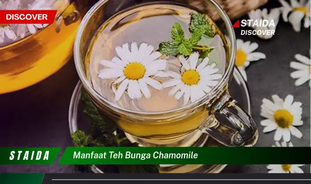 Temukan 7 Manfaat Teh Chamomile yang Perlu Anda Ketahui