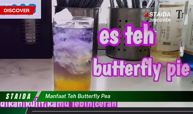 Temukan Khasiat Teh Butterfly Pea yang Jarang Diketahui