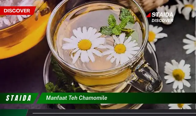 Temukan Manfaat Teh Chamomile yang Jarang Diketahui untuk Kesehatan