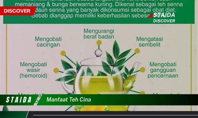 7 Manfaat Teh Cina yang Jarang Diketahui dan Wajib Anda Tahu